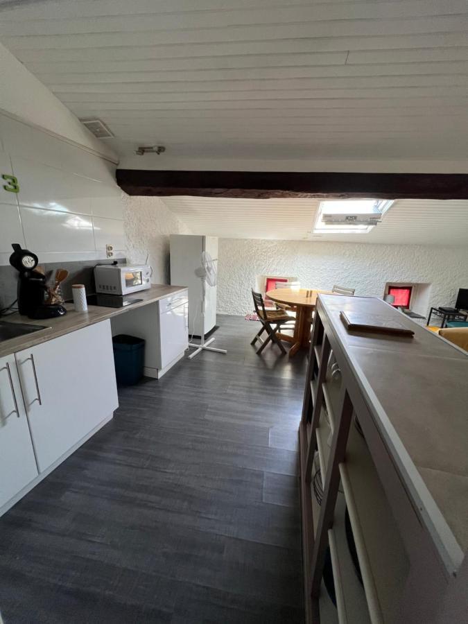 Appartement Au Coeur De Каркасон Екстериор снимка